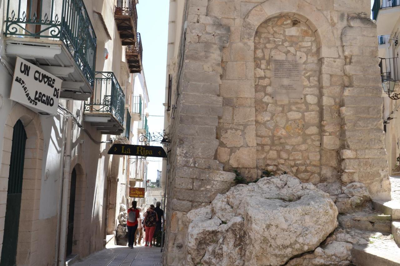 Cuore Di فيستَ المظهر الخارجي الصورة